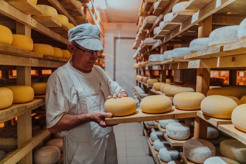 Les coulisses de la fabrication du fromage